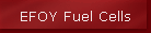 EFOY Fuel Cells