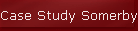 Case Study Somerby